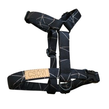 Black and Gold- Hám Heveder