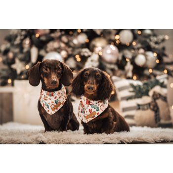 Gingerbread - Kendő