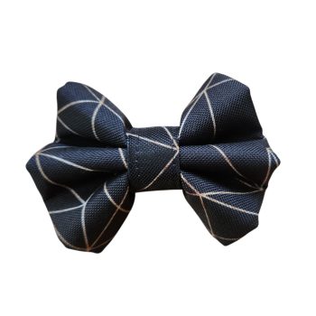 Black and Gold - Masni