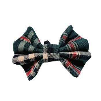 Scotland green - Masni