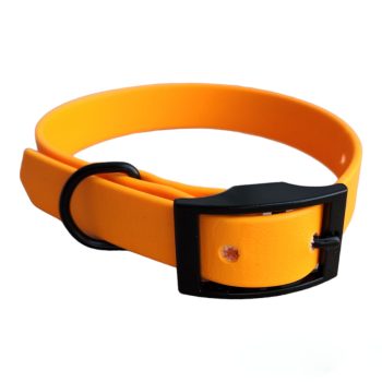 Neon Orange - Nyakörv Biothane