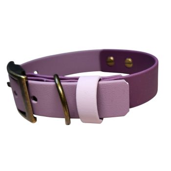 Double Lilac - Nyakörv Biothane