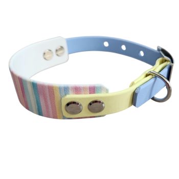 Rainbow - Nyakörv Biothane