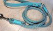 Turquoise - Póráz Biothane & Kötél