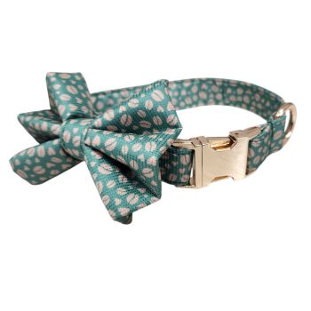 Csóvi & Stardogs - Coffee Masni